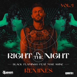 Right in the Night, Vol. 1 (The Remixes) [feat. Mar Shine] - EP