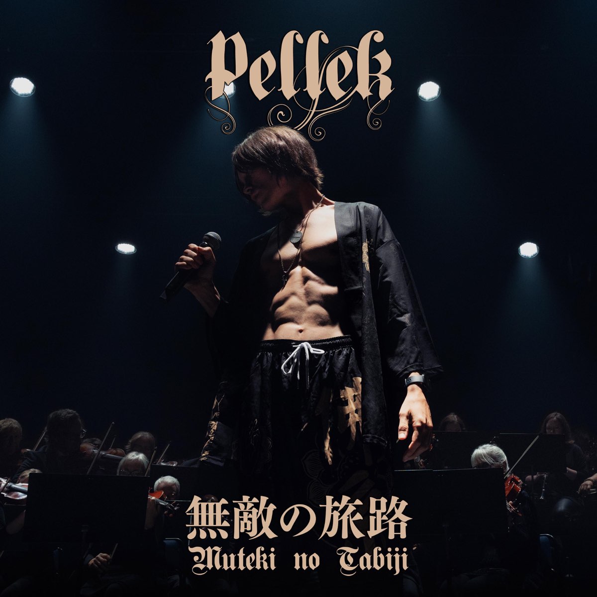 Evolution of Anime Openings - Album by PelleK - Apple Music