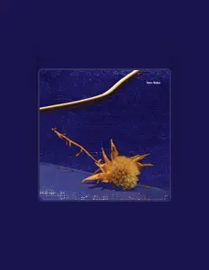 Listen to Itaru Baba, watch music videos, read bio, see tour dates & more!