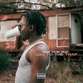 Stay Down Alley Gang Trap