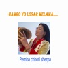 Hamro Losar Melama - Single