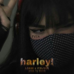 Harley!
