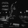 BRUTAL WINTER PHONK (Slowed + Reverb) - Single