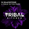 A Walk in the Park (Extended Mix) cover art