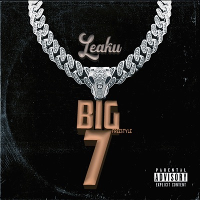 Big 7 Freestyle - Single