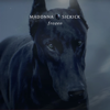 Frozen - Madonna & Sickick