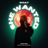 What She Wanted - Single - Lenxten