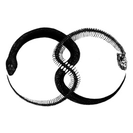 Not Gonna Fall For You (feat. Sorry X) Damazein