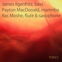Topics (feat. James Ilgenfritz & Ras Moshe) - Payton MacDonald