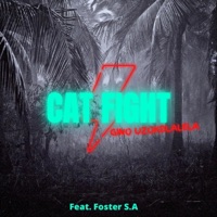Cat Fight (feat. Foster S.A) - Single - Gino Uzokdlalela