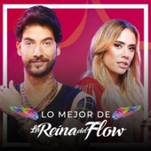 Lo Mejor de la Reina del Flow artwork