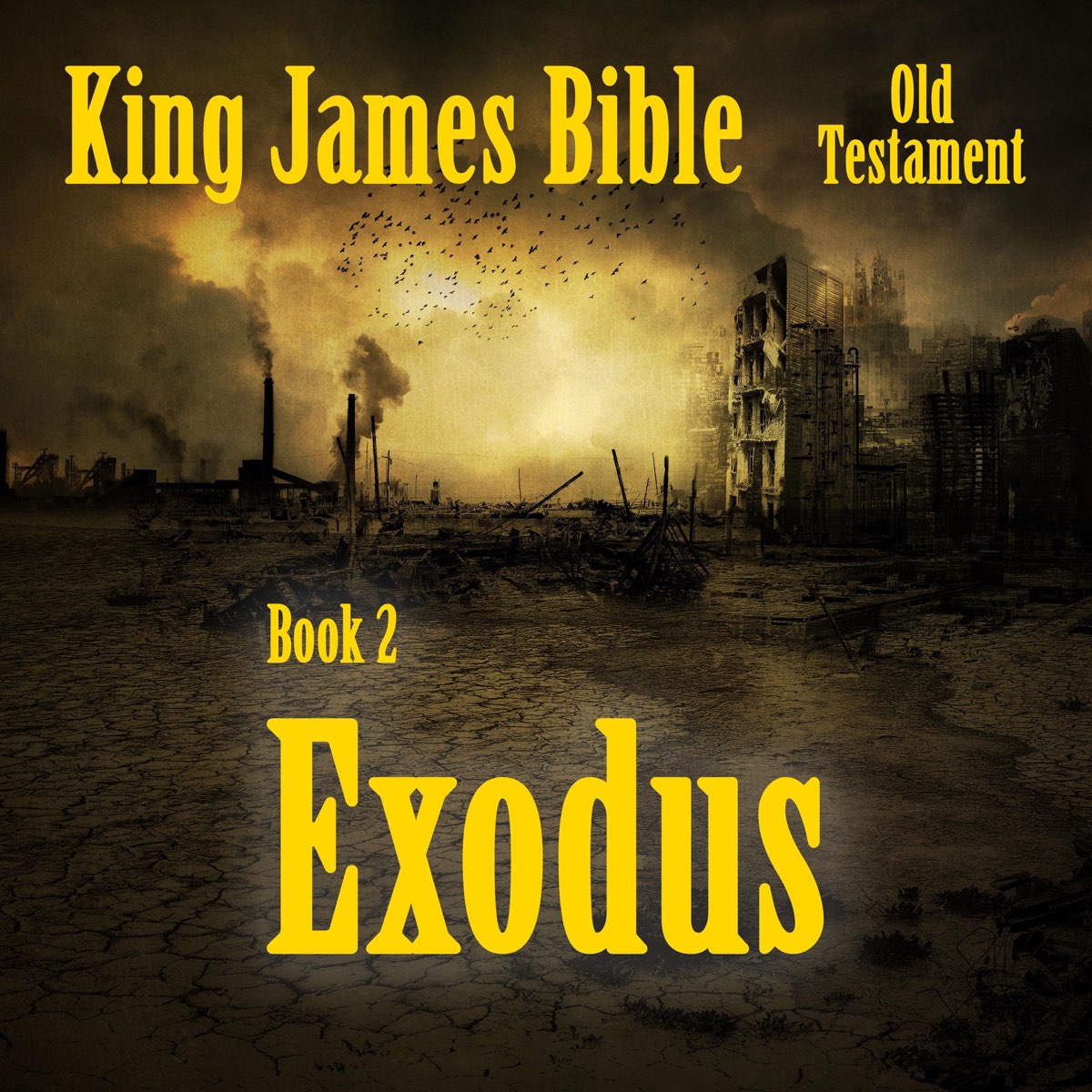King James Bible Book 02 Exodus David Z Goode Apple Music king-james-bible-book-02-exodus-david-z-goode-apple-music