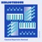 Consolation No.3 in D Flat Major - Departure lyrics