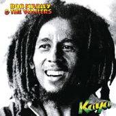Sun Is Shining - Bob Marley &amp; The Wailers Cover Art