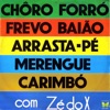 Gado bravo cover art