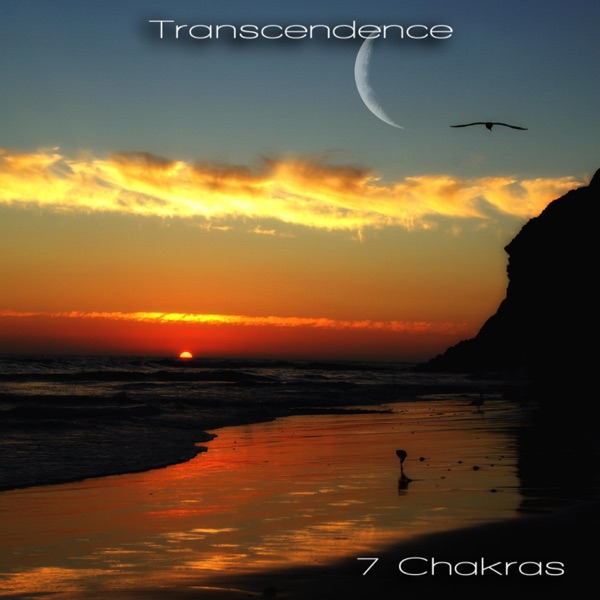 Transcendence