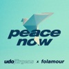Peace Now (Folamour Remix) cover art