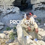 Probarte (feat. El Baby R) - Single