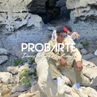 Probarte (feat. El Baby R) - Single - Danny & Temg