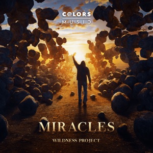 Miracles - Single