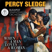 When A Man Loves A Woman (Re-Recorded) [Orchestral Version] [Instrumental] artwork