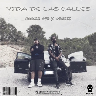 Vida de las calles (feat. Urgiii) - Single