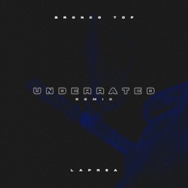 Underrated (Remix) Bronco Tdf & Laprea