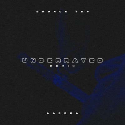 Underrated (Remix) - Single