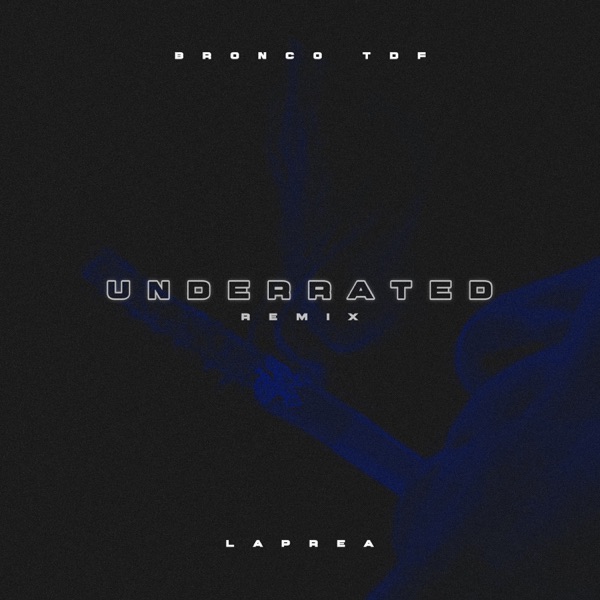 Underrated (Remix)