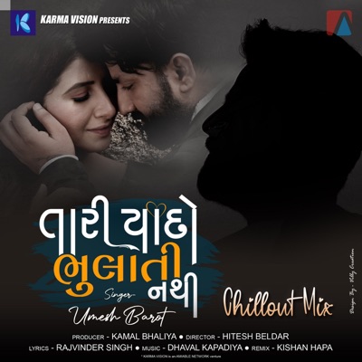 Tari Yaado Bhulati Nathi Chillout Mix - Single
