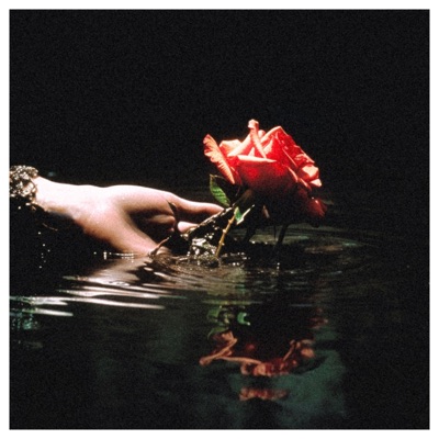 Royal (feat. אלגו1) - Single
