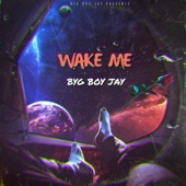 Wake Me (feat. Nat James) artwork