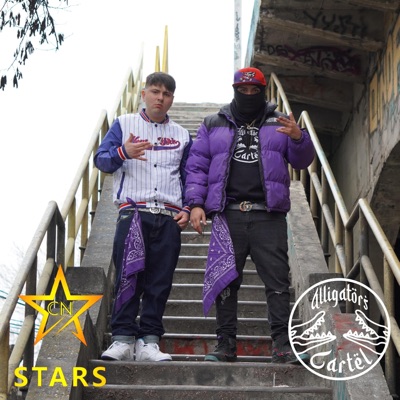 CN STARS x ALLIGATOR (feat. Bastian Milan & Th.Deida) - Single