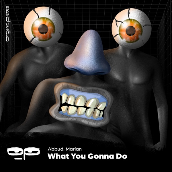 What You Gonna Do - Single
