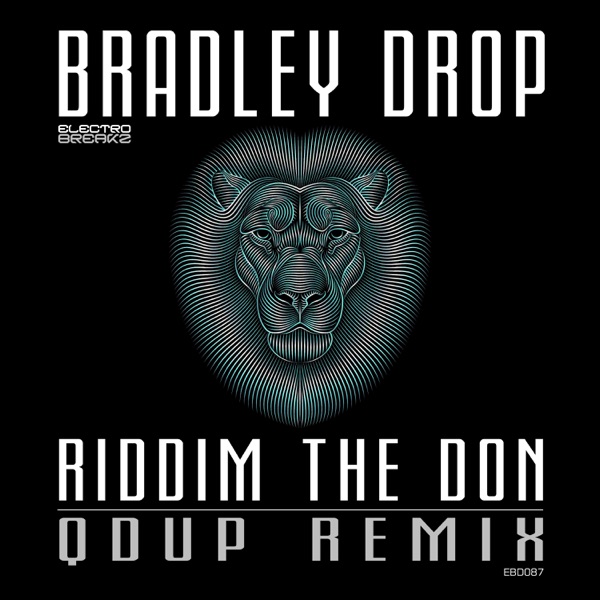 Riddim the Don - Single
