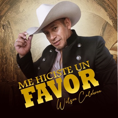 Me Hiciste un Favor - Single