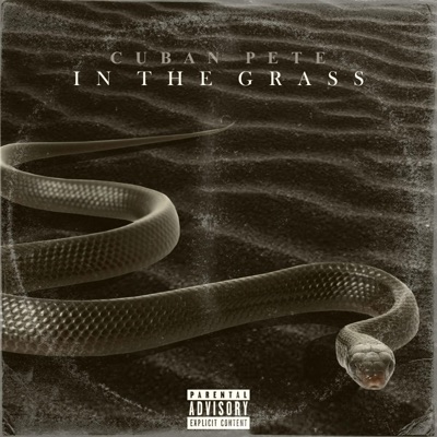 In The Grass - Single