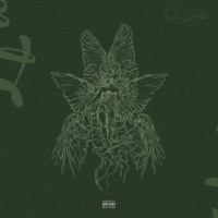 Soul's Desire - Warren Justin