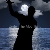 Under the Moonlight (Radio edit) artwork