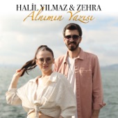 Alnımın Yazısı artwork