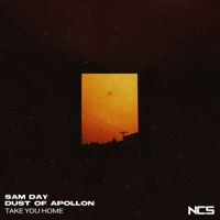 Take You Home - Single - Sam Day & Dust of Apollon