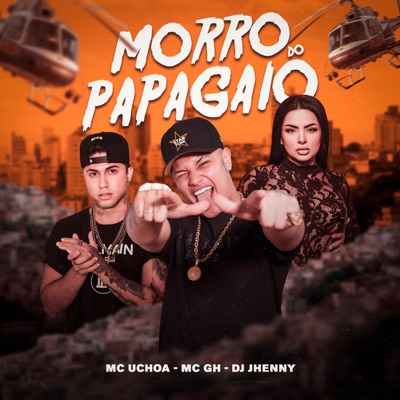 Morro do Papagaio - Single