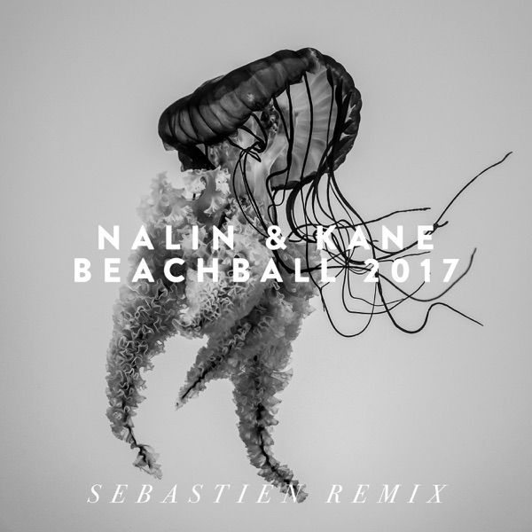 Beachball 2017 (Sebastien Remix) - Single