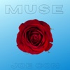 Muse - Single