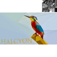 Halcyon - Single - NuAge Knight