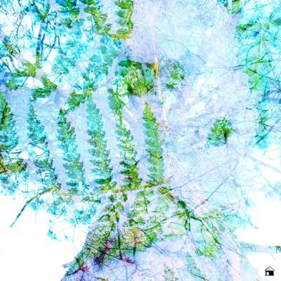 Poptart (feat. gutpull, ECHOES TOO FAR, rb & sentixnce) - Single