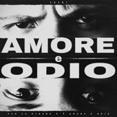 AMORE E ODIO artwork