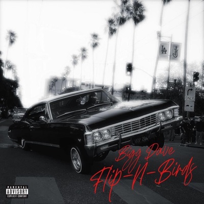 Flip-N-Birdz - Single