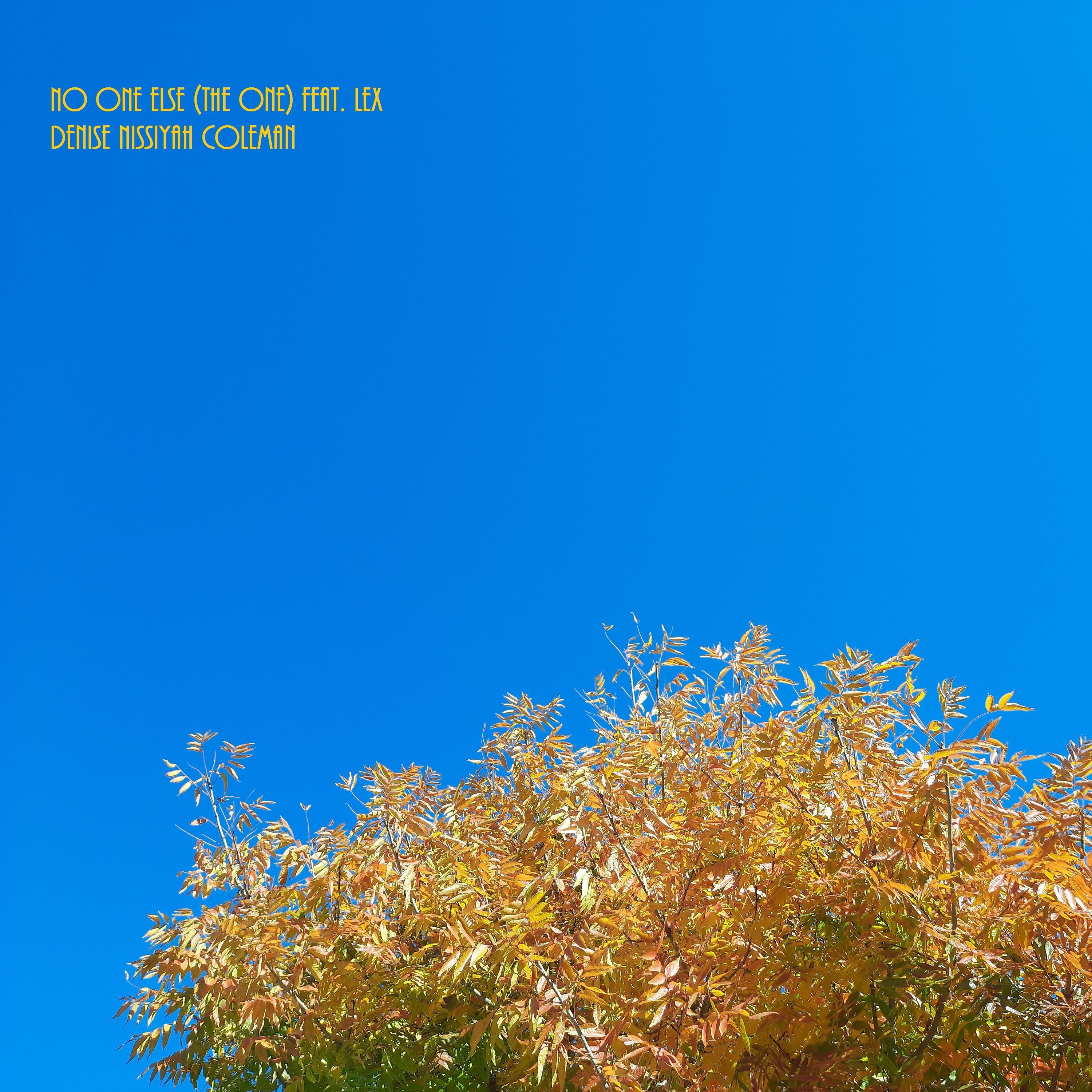 Denise Coleman - No One Else (The One)