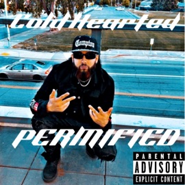 Cold Hearted Permified